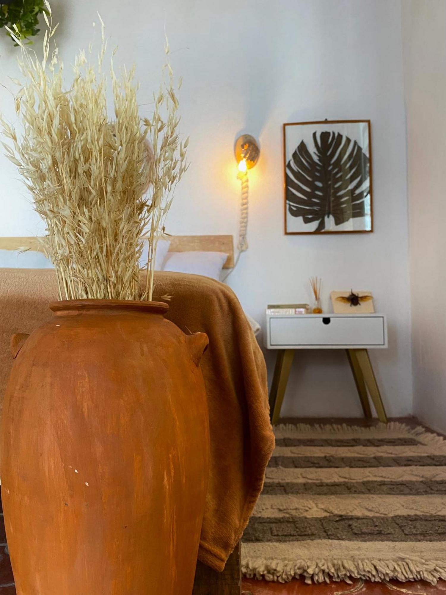Casa Botanica Iv - Centro Apartamento Guanajuato